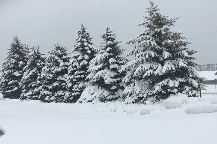 Property Grounds 118 of 173