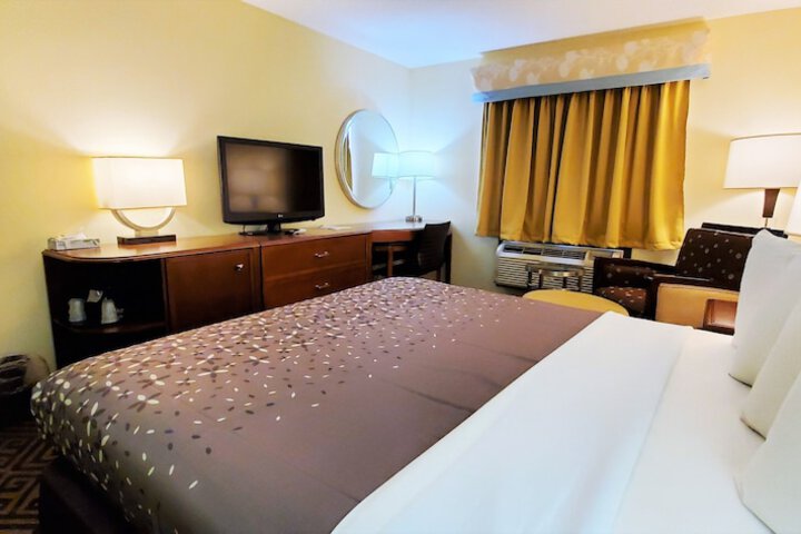 1 King Bed Accessible (6 of 21)