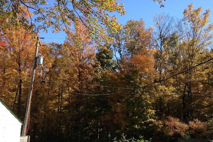 Property Grounds 21 of 37