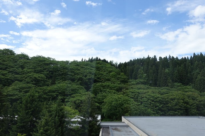 View from room