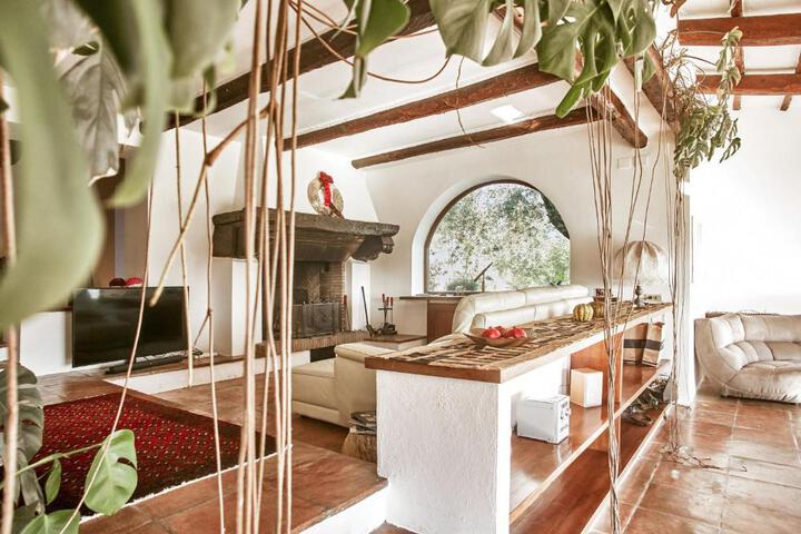 General 25 of 68
