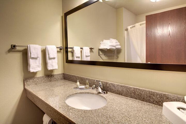1 King Bed Accessible (12 of 15)