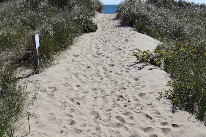 Beach 37 of 49