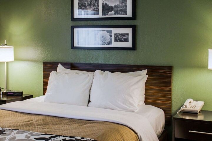 1 Queen Bed Accessible (5 of 5)