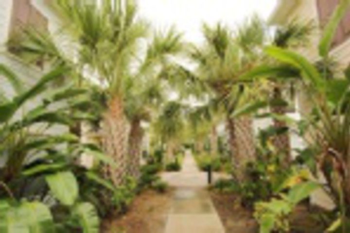 Hotel Exterior 5 of 323