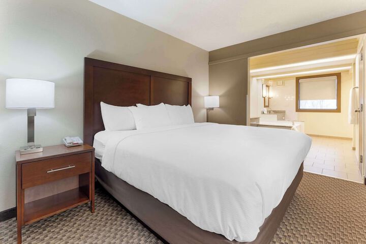 Efficiency Suite King Bed (6 of 9)