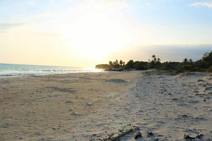 Beach 41 of 56