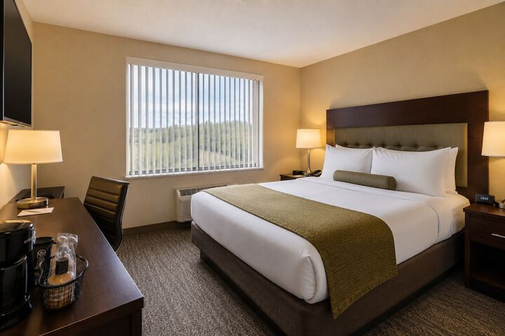 Downtown Toronto Hotels
