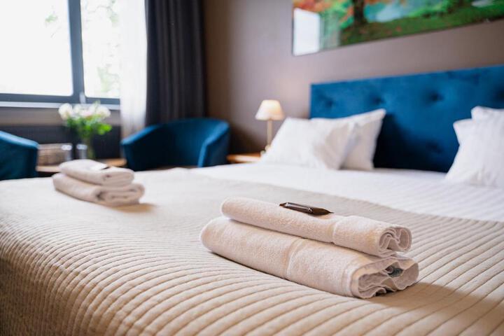 Image of Comfort Hotel Kuldiga