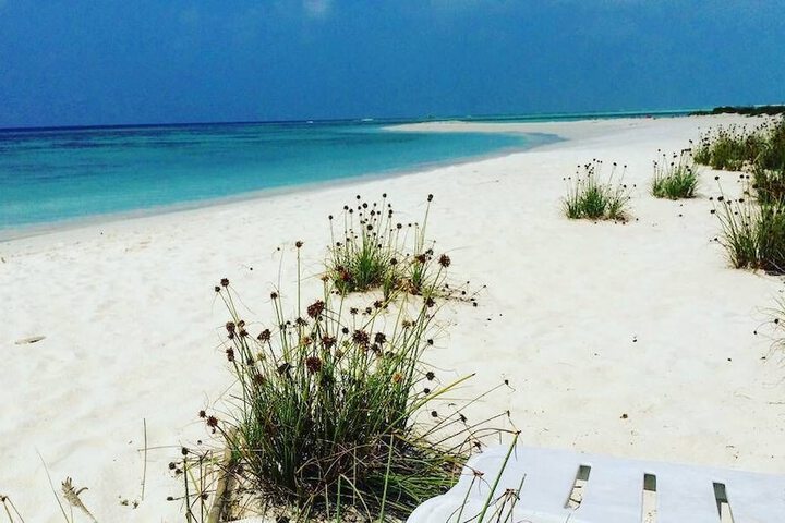Beach 157 of 211