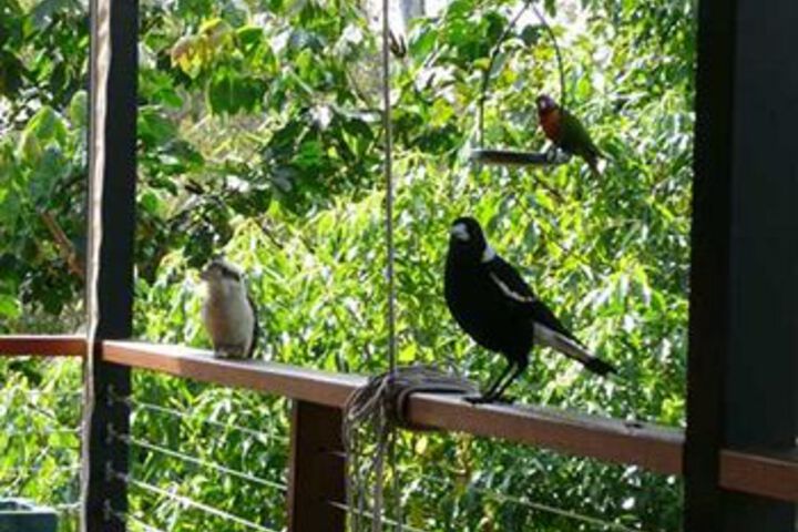 Terrace/Patio 3 of 62
