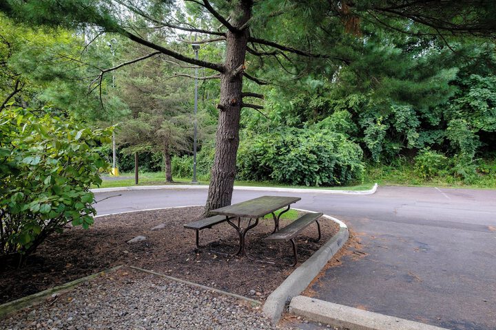 BBQ/picnic area