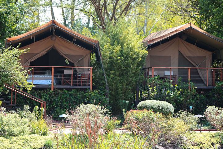 Wildebeest Eco Camp