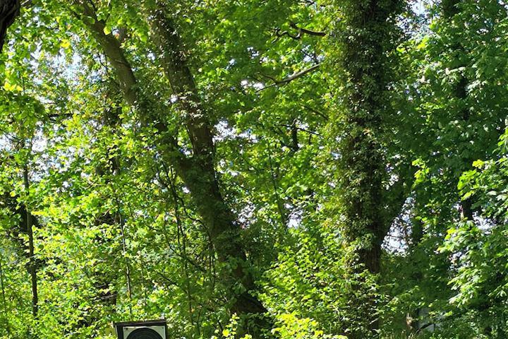 Outdoor Activities 70 of 181