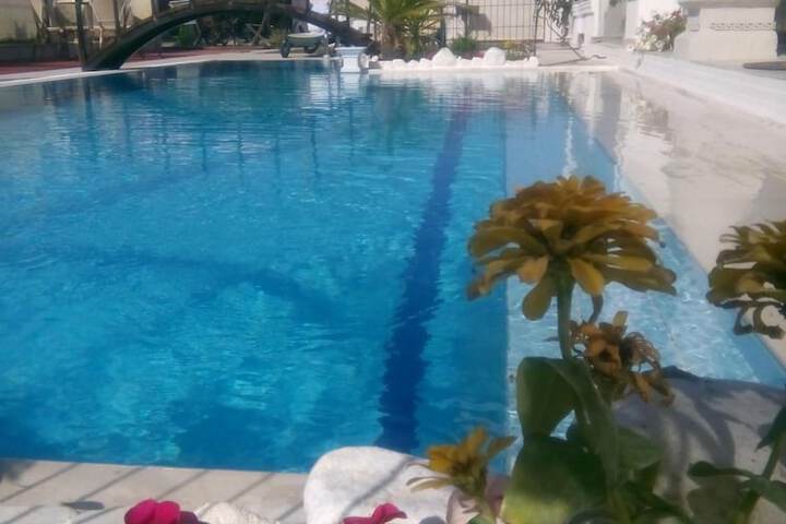 Pool 36 of 67