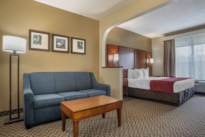 Suite King Bed Accessible (20 of 23)