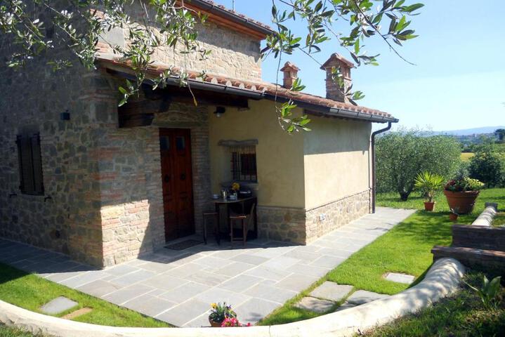 Selva degli Ulivi