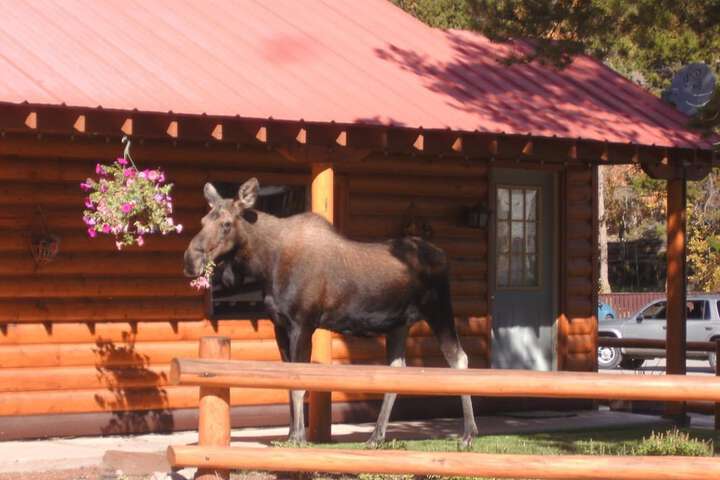 Property Grounds 56 of 72