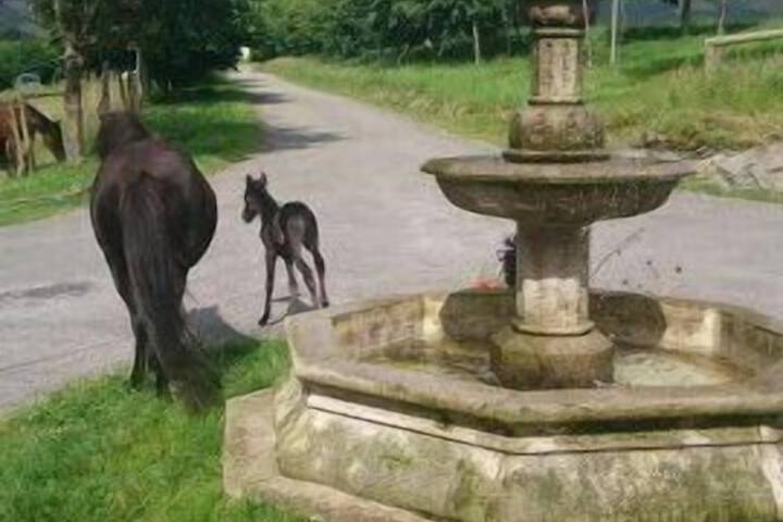 Fountain