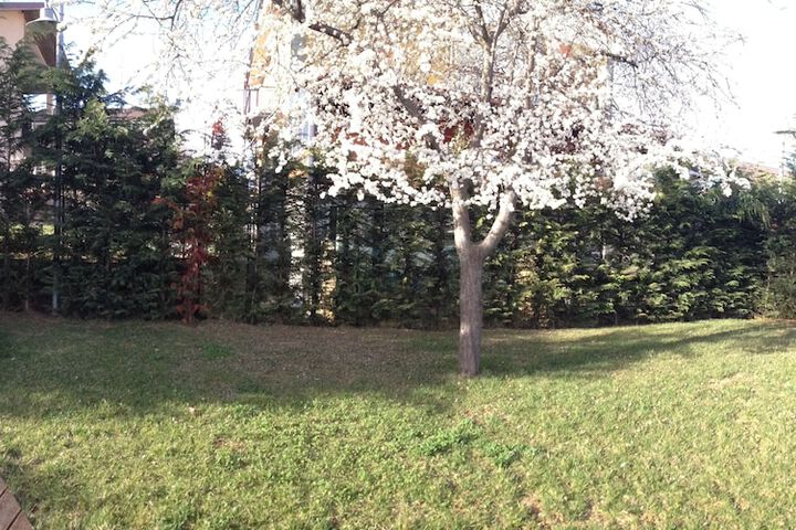 Property Grounds 32 of 45