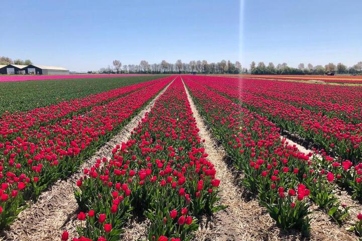 General 48 of 49