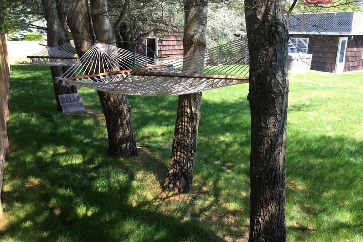 Property Grounds 56 of 59