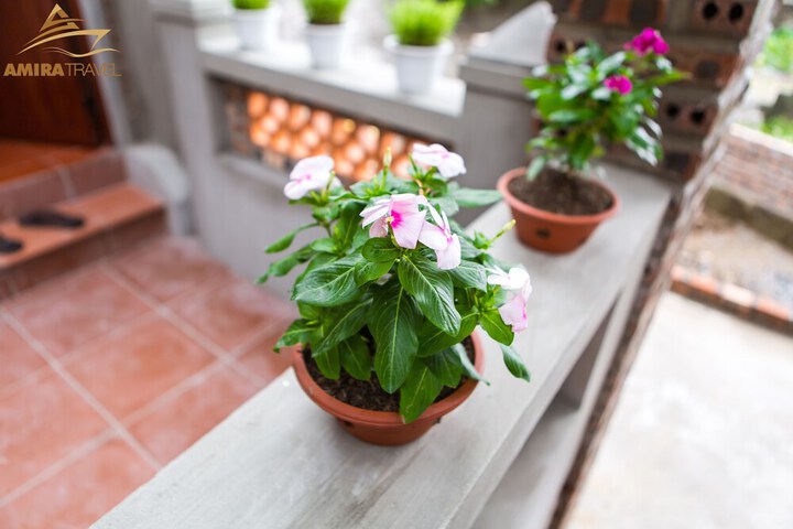 Hotel 52 of 59
