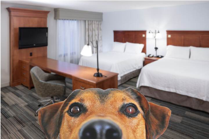 Pet-friendly