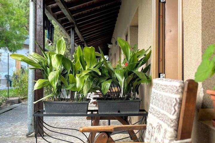 Terrace/Patio 29 of 64