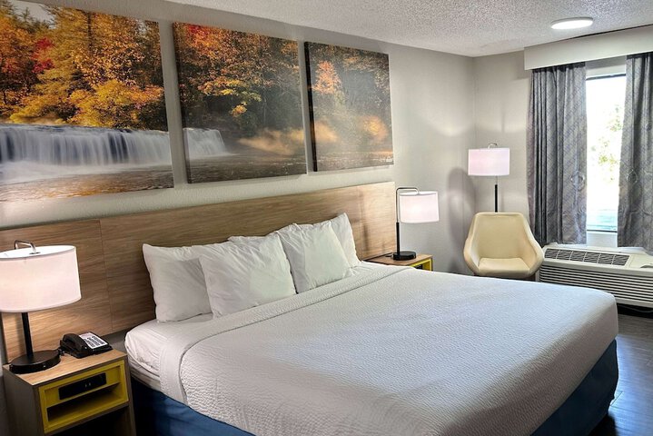1 King Bed (6 of 12)