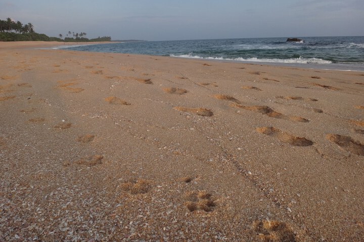 Beach 16 of 30