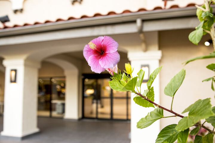 Property entrance