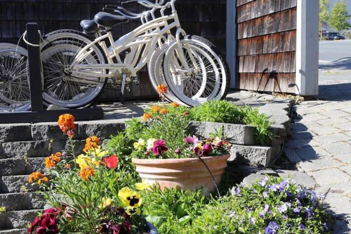 Property Grounds 65 of 76