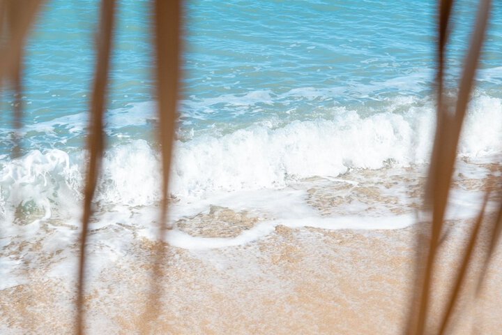 Beach 224 of 292