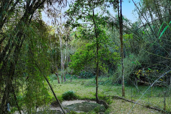Property Grounds 46 of 59