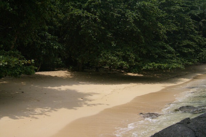 Beach 24 of 55
