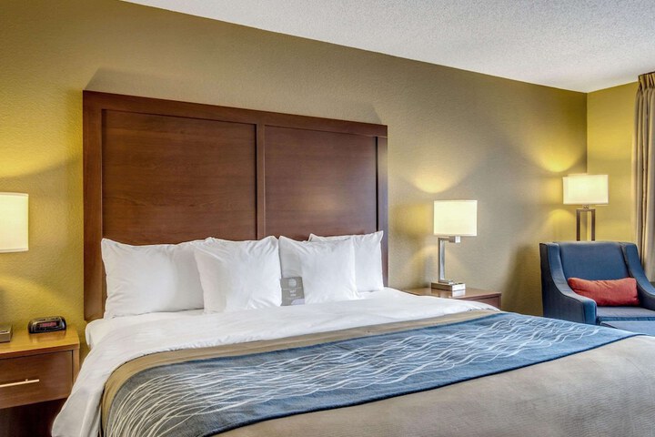 1 King Bed (7 of 11)