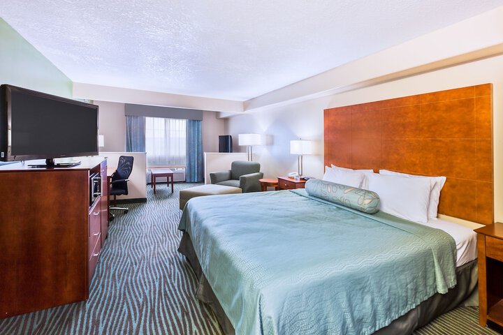 1 King Bed (6 of 15)
