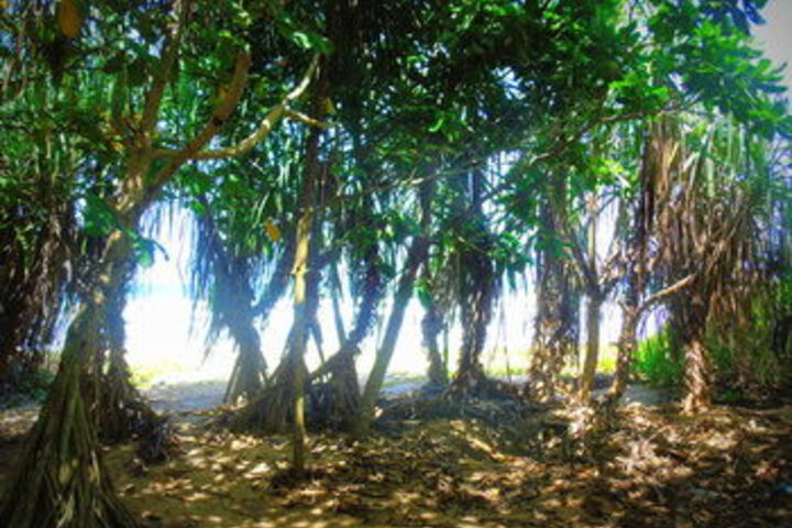 Beach 6 of 17