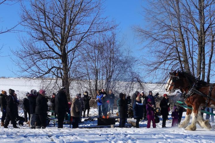 Children's activities