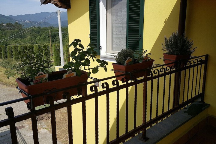 Terrace/Patio 71 of 161