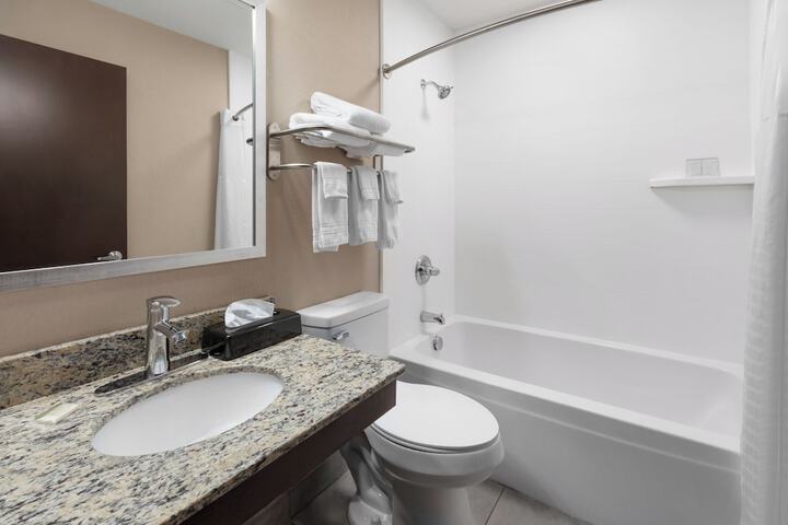 1 Double Bed Accessible Room Roll in Shower with Grab Bars (7 of 14)