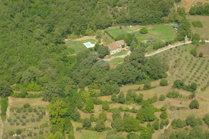 Antico Silbule in Capolona