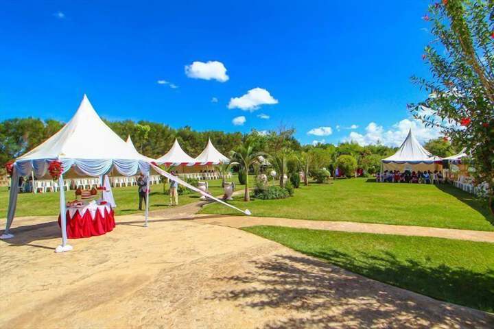 Wedding/Banquet 108 of 144