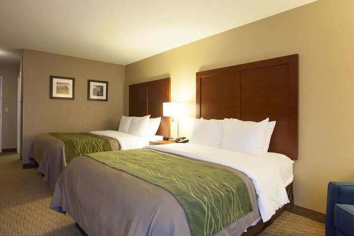 2 Queen Beds (4 of 8)
