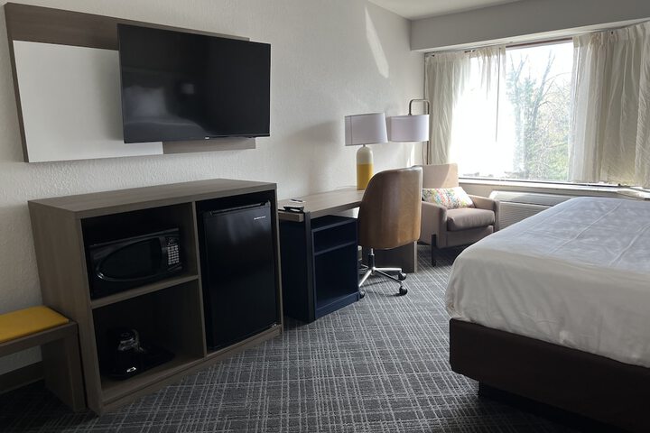 1 King Bed (13 of 16)