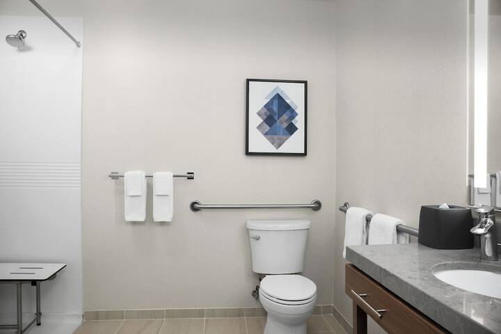 1 King Studio Suite (3 of 13)