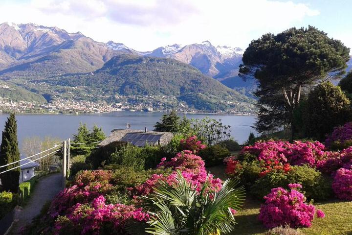 General 11 of 50