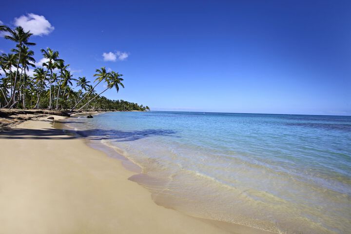 Beach 50 of 59