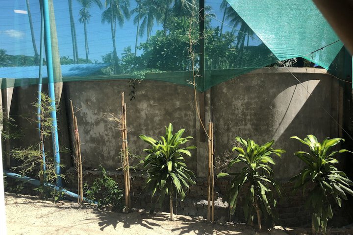 Property Grounds 17 of 20